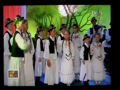 Ansamblul Folcloric Cununiţa Năzdrăvană din Satu Mare (Tezaur Folcloric Marţișor 2017)