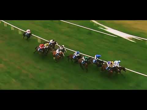 2006 Champion Hurdle: Cheltenham, Brave Inca