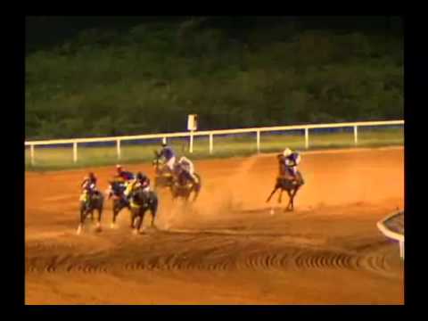 5ta. Carrera Jueves 31 de Octubre de 2013 SANTA RITA