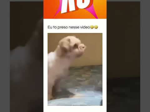 #comédia #comedia #animal #viraliza #maisviews #video #youtube #youtubeshorts #viral #kkr