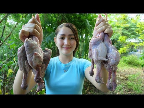 Yummy Quail Grilling With Young Green Tamarind Sauce - Quail Grilling Recipe - Cooking With Sros Video