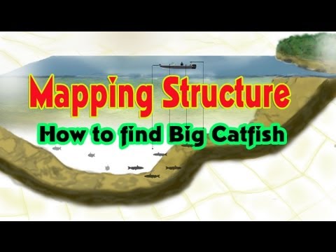 How to find BIG catfish: Mapping structure