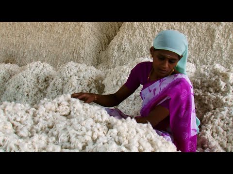 Mat, kläder och hållbarhet