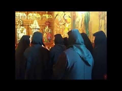 20171210 NICOLAE BALASOIU –  TAMADUIREA FEMEII GARBOVE