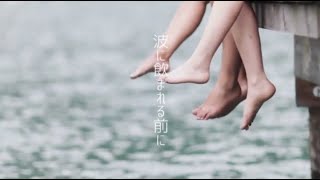 【優しめに】波にのまれる前に【歌ってみた】