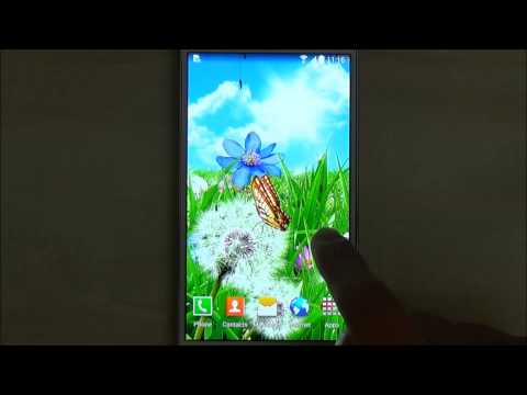 Summer Flowers Wallpaper Video
