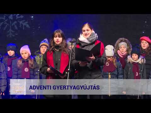Videó előnézet