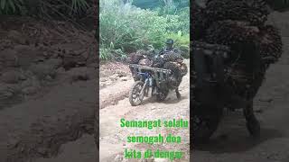 Download lagu Ojek sawit nanjak pull muatan mp3