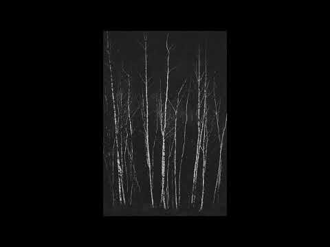 Winterblood - Labirinto Sonoro