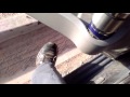 Jones full boar Muffler first impression