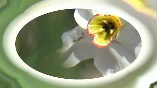 Mark Knopfler, today images, Time Will End All Sorrow