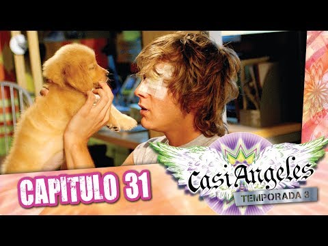 Casi Angeles Temporada 3 Capitulo 31 PERRO QUE LADRA