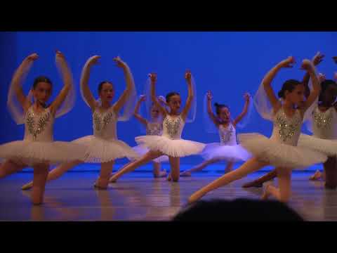 Shades Scene - La Bayadere