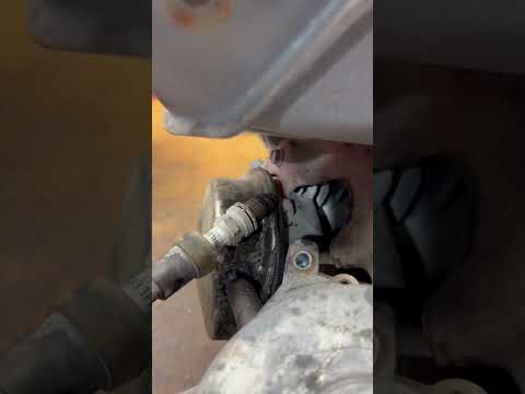 No spark. Is it the spark plug or the coil?