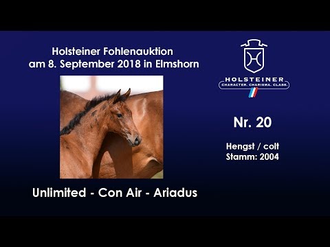 Holsteiner Fohlenauktion | Nr. 20 v. Unlimited - Con Air