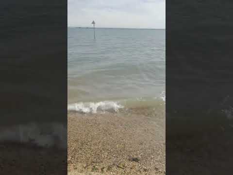 Beautiful day by the Beach ⛱️#southendonsea #summer #beach