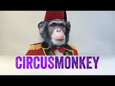 CircusMonkey Promo