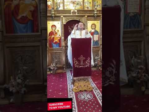 Părintele Dan Iluța-Cât costă lucrurile din viața noastră?Demonizatul din Gadara-dum XXIII-a Rusalii