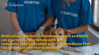 How Can You Help A Dog Dealing With Arthritis?