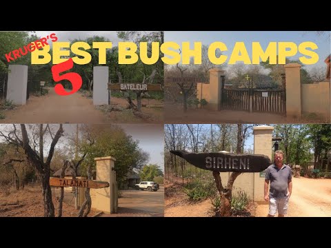 Kruger's best five Bushveld Camps