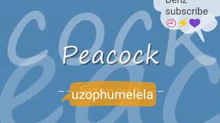 Download lagu Peacock uzophumelela mp3 Download lagu Peacock uzophumelela mp3