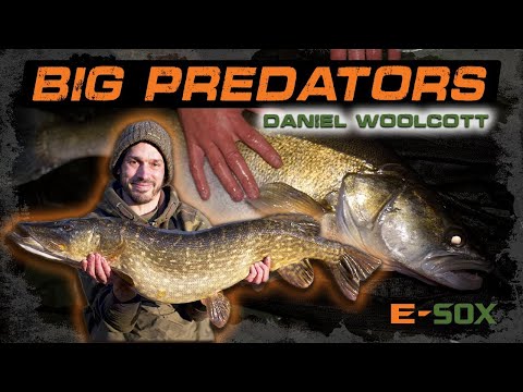 BIG PREDATORS | Daniel Woolcott | Pike and Zander Fishing