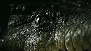 Download lagu ATM Er Rak Error mp3