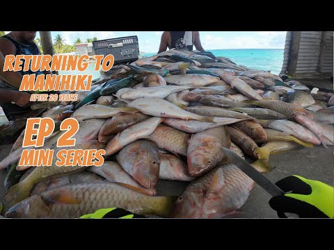 Returning to the Islands,  Manihiki cook Islands after 20 years away.
