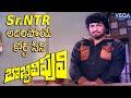 Ntr Best Court Scene Sr NTR Bobbili Puli Movie Court Scene NTR Best Emotional Dialogues In Court