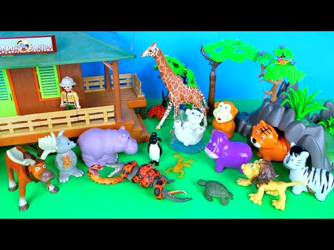 Wild Zoo Animals Toys Box - Educational Toy Zoo Animals for Toddlers