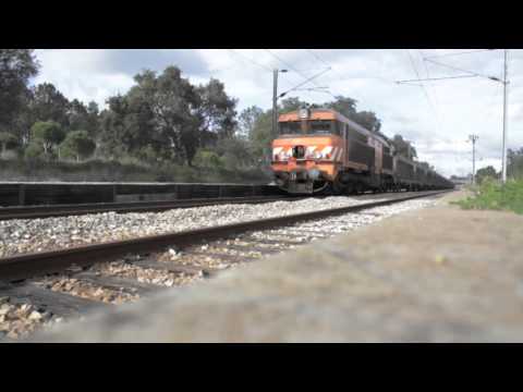 SAM ALONE & THE GRAVEDIGGERS - Tougher Than Leather (OFFICIAL VIDEO)