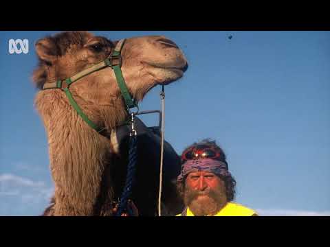 CO anglais - Cycling at 80 (B1)