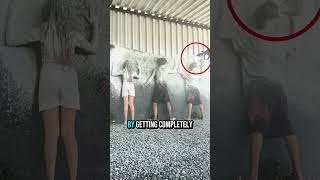 Download lagu They Really Became HUMAN STENCILS mp3