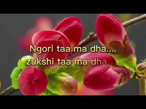 Sem sem nge gi sem|Vocal off|Bhutanese song|Phub zam