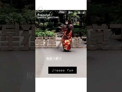 JISSO+🐵=🤣 #BLACKPINK #BLINKI $MUBINA K-POP$