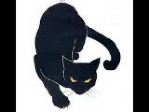 I RATTI DELLA SABINA - Il Violinista Pazzo