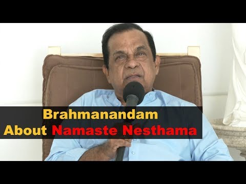 Bramhanandam About The Movie Namathe Nesthama