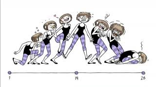 Ciclo sexual femenino (Parte 4) - Reproductor y desarrollo