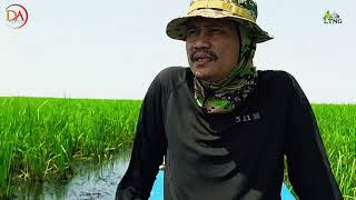 កោះប្រាក់អន្ទាក់ស្នេហ៍ ពាក់មី (Music Videos)