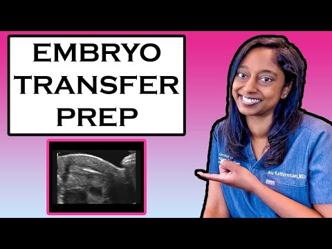 EMBRYO TRANSFER PREPARATION