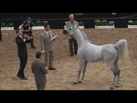 Skoroneek IA -  ABWC Las Vegas