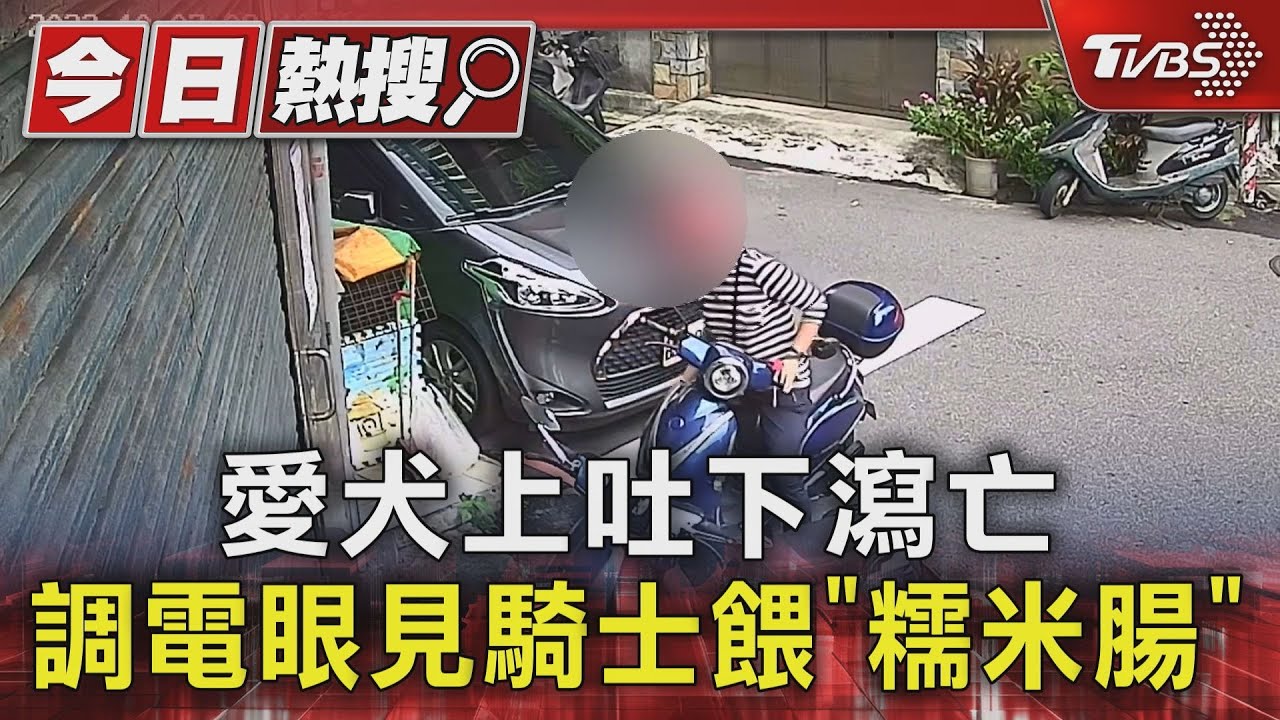 愛犬上吐下瀉亡!調電眼見騎士餵「糯米腸」