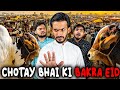 Chotay Bhai Ki Bakra EID Comedy Skit Sajid Ali Ovais Mithani