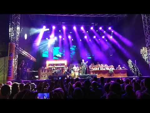 Vojta Dyk & B-side band - Old MacDonald had a farm LIVE (Sázavafest 2018)