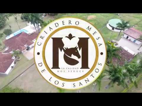 Inquietud de Fuente Clara del Criadero Mesa de Los Santos en Del Caballista (HD)