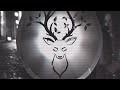 Last Lynx - Curtains (Official Music Video) 