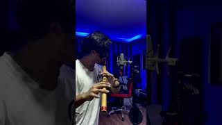 Tera fitoor-Genius/Arijit Singh/Flute by Anunaay Rai