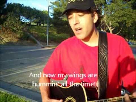 Jeff Iftekaruddin - Hiram the angry humminbird