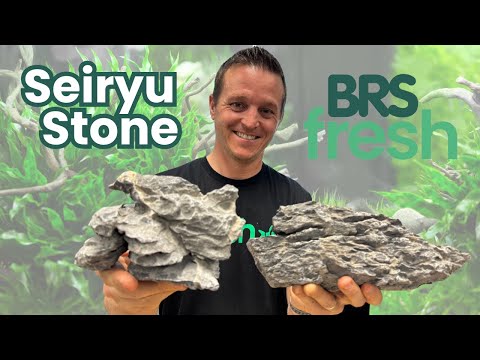 DISCOVER Seiryu Stone - The Most Popular Aquascaping Stone