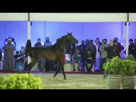 D JAD By Frasera Mashar